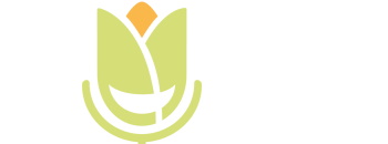 Vfleurs