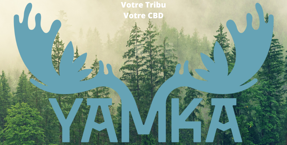 Yamka